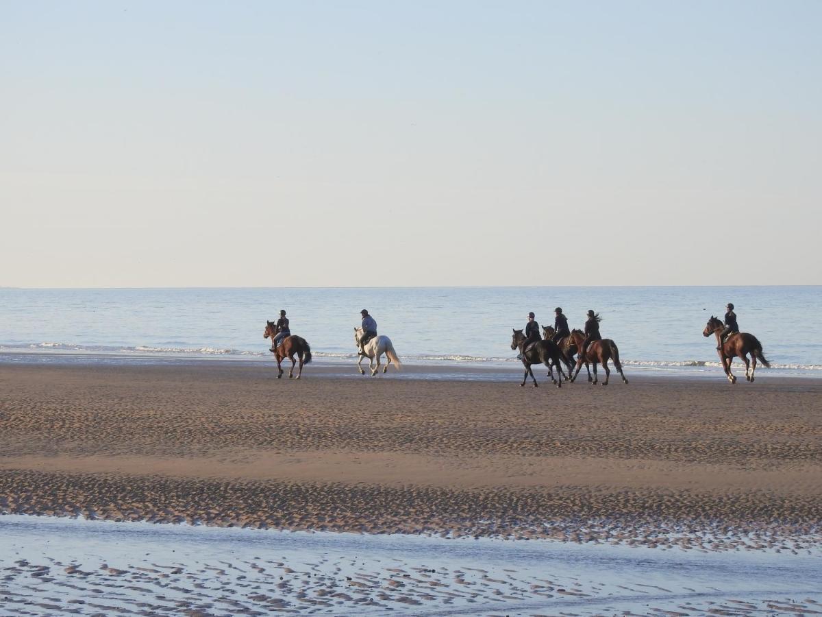 דירות Les 3 Mouettes A Cabourg - Cote Normande מראה חיצוני תמונה
