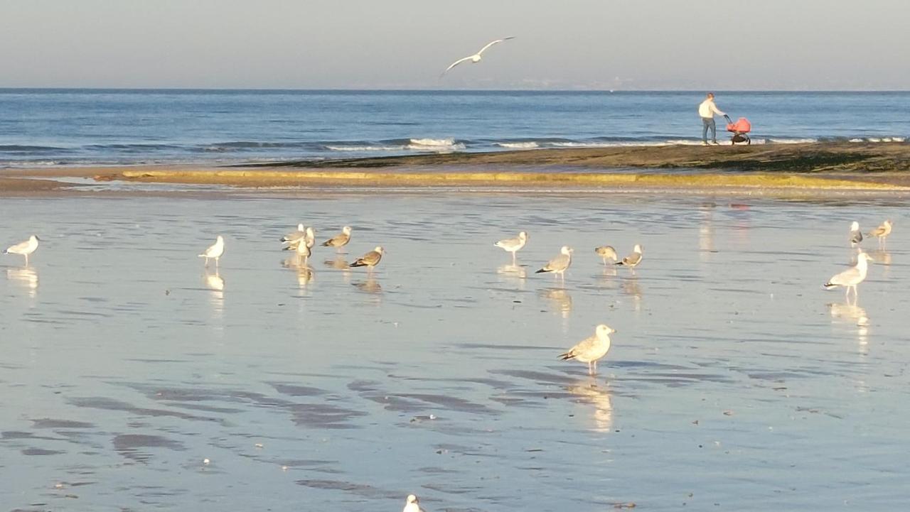 דירות Les 3 Mouettes A Cabourg - Cote Normande מראה חיצוני תמונה